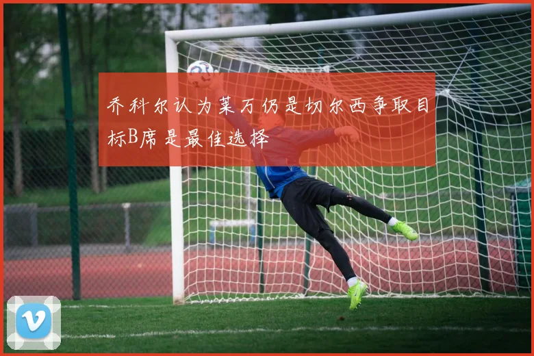 乔科尔认为莱万仍是切尔西争取目标B席是最佳选择