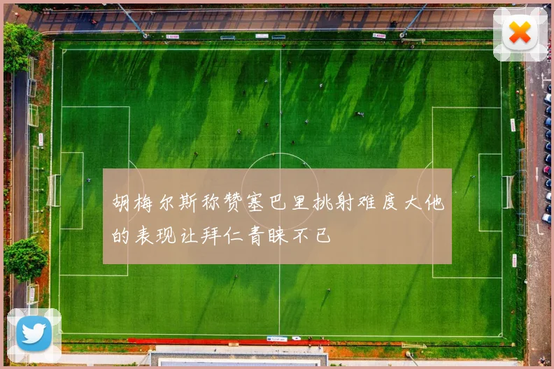 胡梅尔斯称赞塞巴里挑射难度大他的表现让拜仁青睐不已